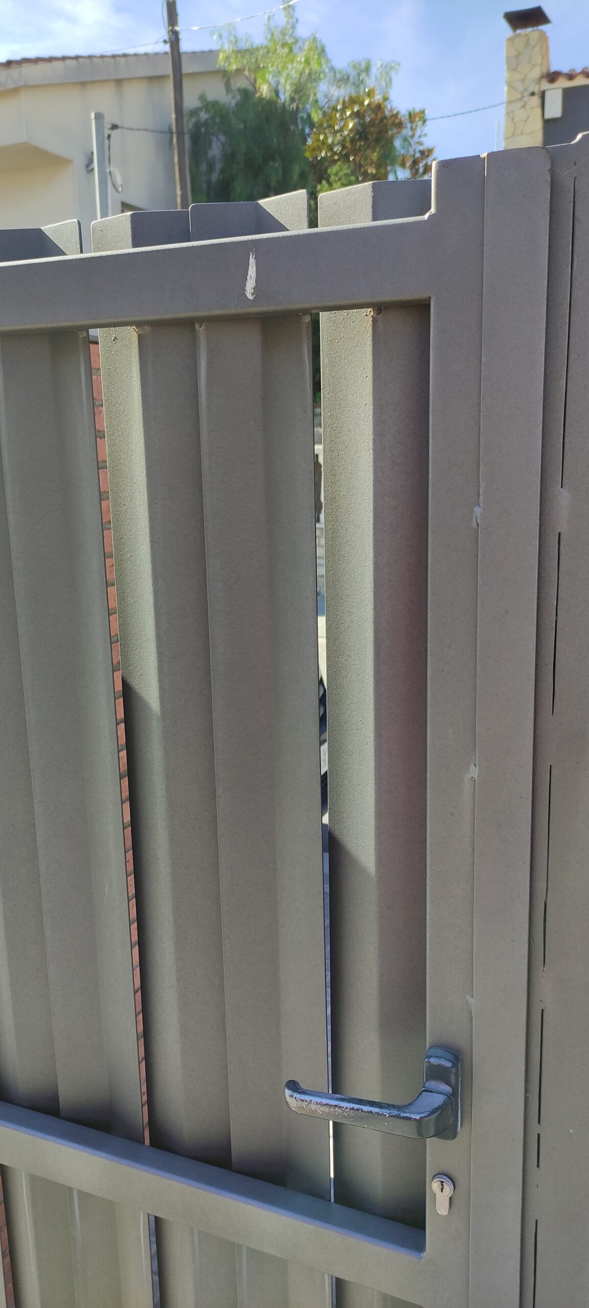 Img 20241111 124648 1