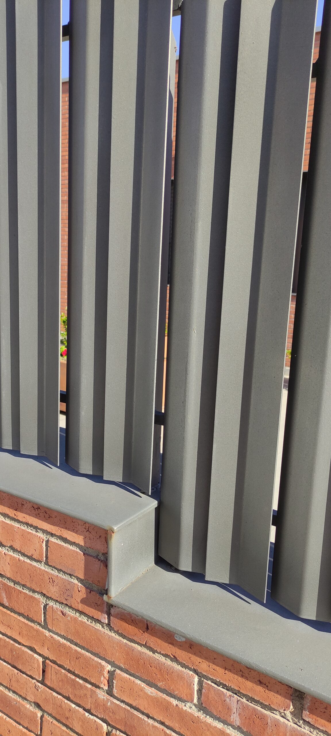 Img 20241111 124752 1